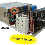 Jual Mesin Pembuat Es Balok di Denpasar, Bali