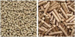 Mesin-Cetak-Pelet-Pakan-Ikan-dan-Ternak-Listrik-AGR-PL220-1-maksindo