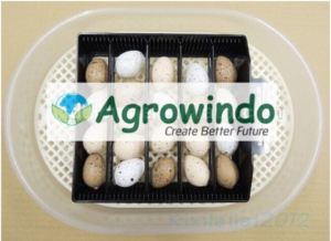 Mesin-Penetas-Telur-maksindo (1)