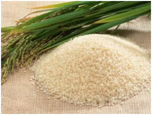 Mesin-Rice-Huller-Mini-Pengupas-Gabah-Beras-AGR-RM40-2-maksindobali (2)
