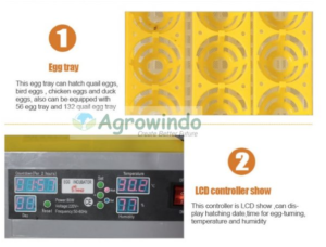 Mesin-Tetas-Telur-Kapasitas-96-Butir-Type-AGR-YZ96-4