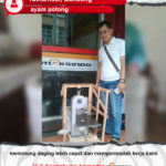 Ayam Potong : Memotong Daging Menjadi Lebih Cepat