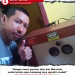 Ternak Ayam Kampung Pak Suhli : Usaha Ternak Kami Semakin Lancar dengan Tetas Telur Maksindo