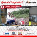 Kelompok Tani “Sido Muncul” : Menanam Padi dengan Menggunakan Mesin Penanam Biji-bijian Maksindo Semakin Asyik