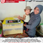 Toko Politani : Dengan Menggunakan Mesin Tetas Telur Maksindo Usaha Saya Lancar dan Makin Untung